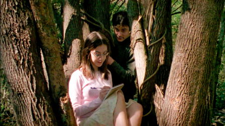 Suspiros del corazón