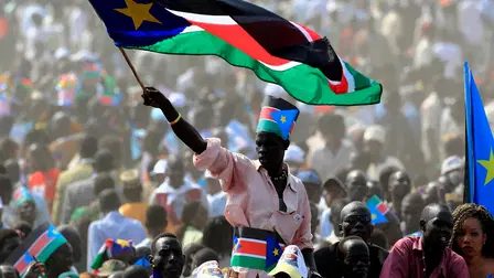 The Elephants and the Grass