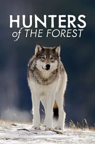 Hunters of the Forest