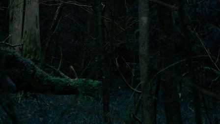 Guts on The Chainsaw