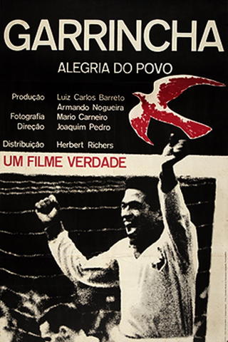 Garrincha: Alegria do Povo