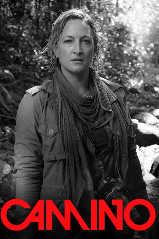 Camino