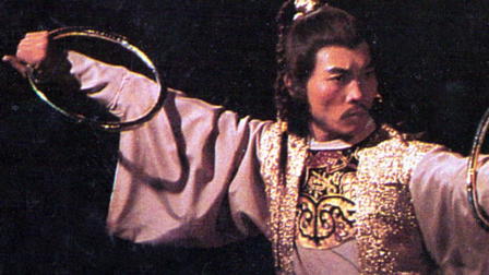 Shaolin Fighters vs. Ninja