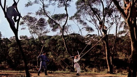 One-armed Swordswoman