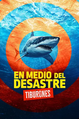 En medio del desastre: tiburones