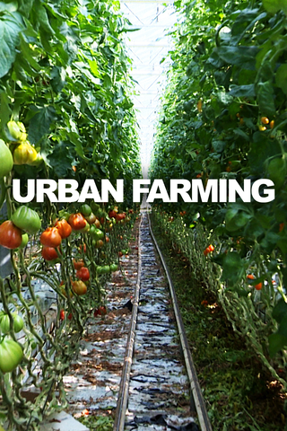 Urban Farming