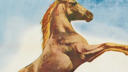 The Palomino