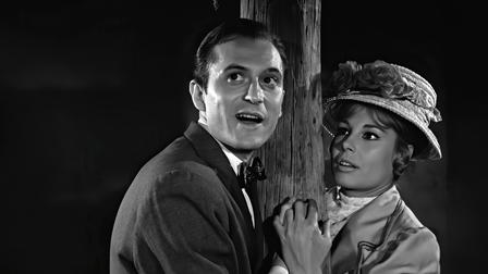 Those Who Did Not Go to War