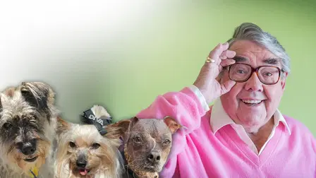 Ronnie's Animal Crackers