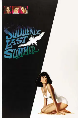 Pludselig sidste sommer