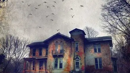 Something in the Shadows