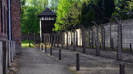 Touched by Auschwitz