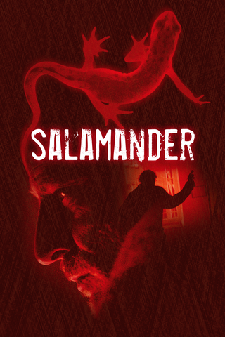 Salamander