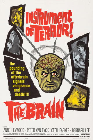The Brain
