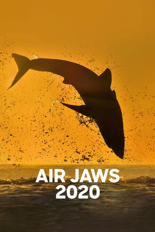 Air Jaws 2020