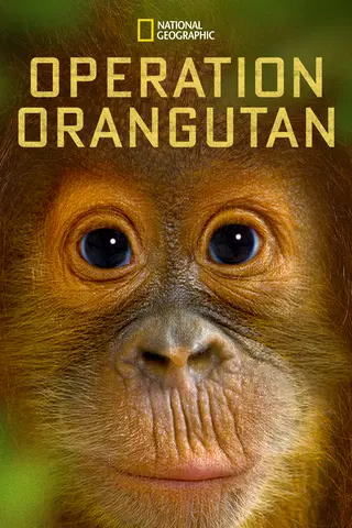 Operation Orangutan