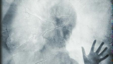 Dreams of the Dead