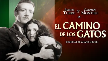 El Camino de los gatos