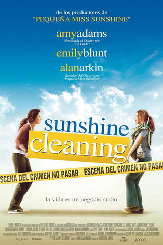 Sunshine Cleaning