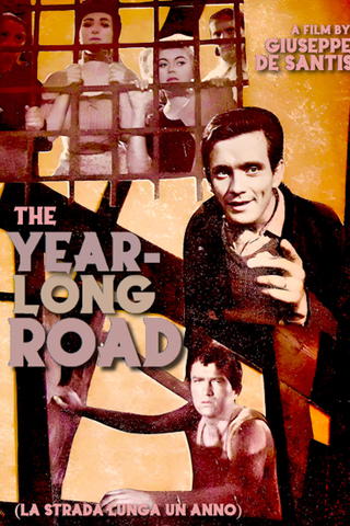 La strada lunga un anno
