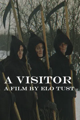 A Visitor