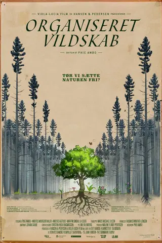 Organized Wilderness