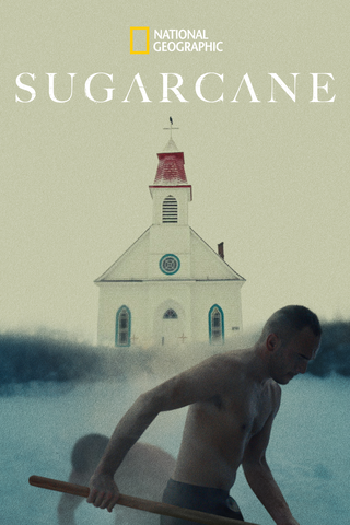 Sugarcane