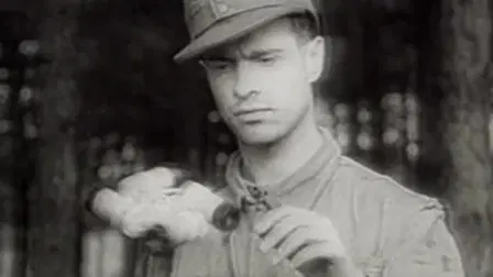Late War Fighters of the Luftwaffe