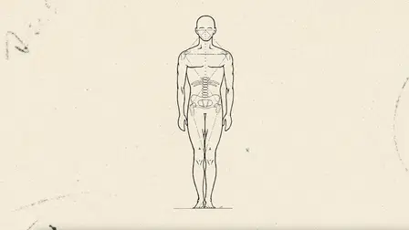 Ida Rolf - Mother Of Fascia