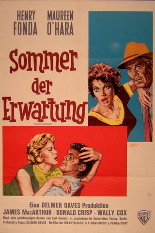 Sommer der Erwartung