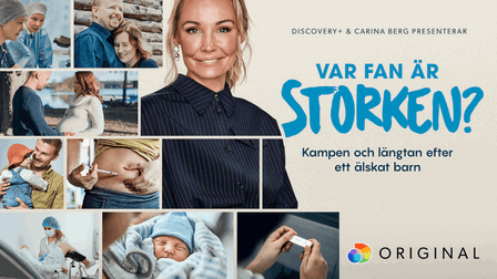 Var fan är storken?