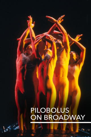 Pilobolus on Broadway