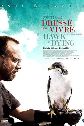Dressé pour vivre - The Hawk Is Dying