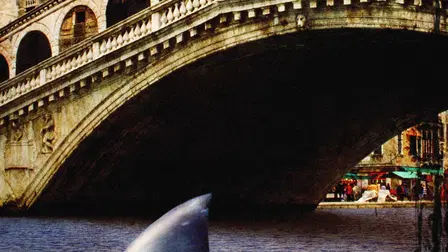 Tiburones en Venecia
