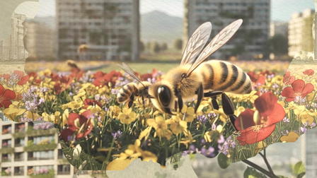La scuola della biodiversità