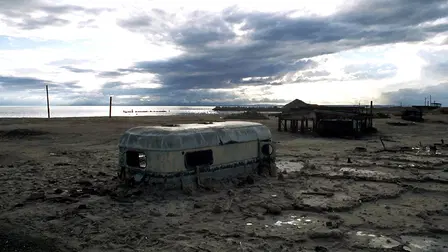 Plagues and Pleasures on the Salton Sea