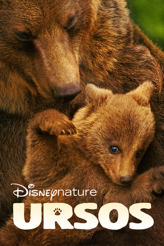 Disneynature Ursos