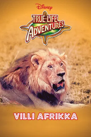 VILLI AFRIKKA
