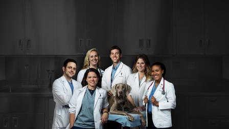 Life at Vet University