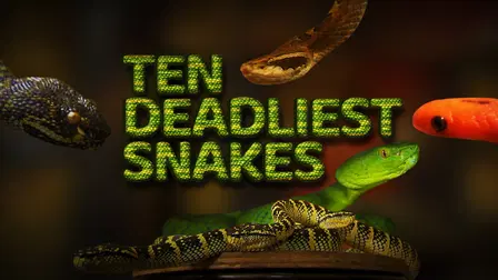 Ten Deadliest Snakes with Nigel Marven