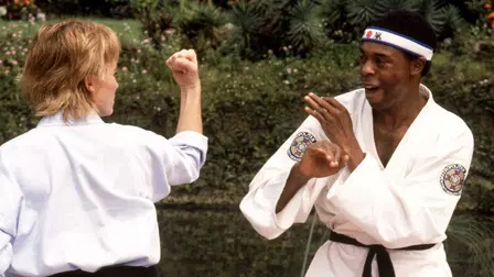 Polisskolan 5 - uppdrag Miami Beach