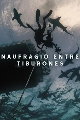 Naufragio entre tiburones