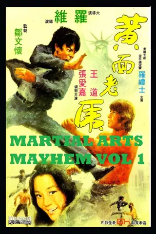 Martial Arts Mayhem Vol 1