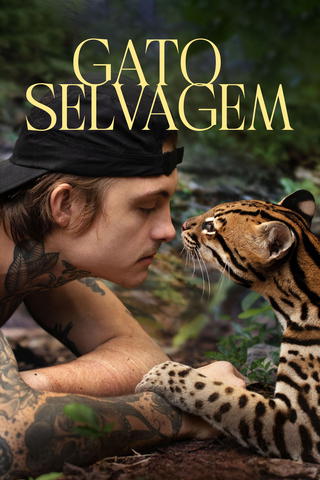 Gato Selvagem