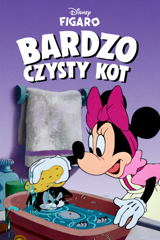 Bardzo Czysty Kot