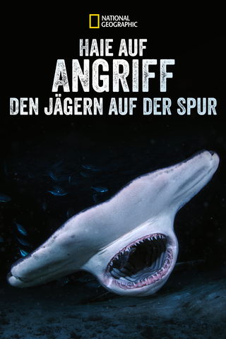 When Sharks Attack... And Why