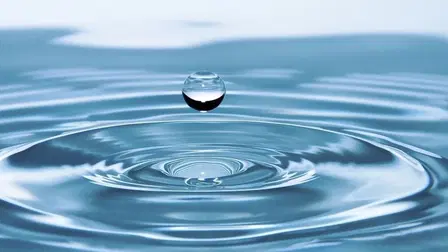 Los señores del agua