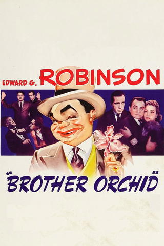Brother Orchid