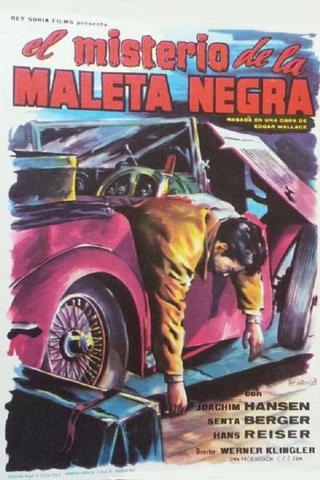 El misterio de la maleta negra