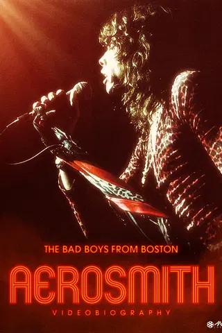 Aerosmith: Videobiography